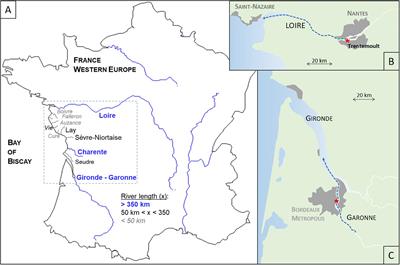 Exploring the Susceptibility of Turbid Estuaries to Hypoxia as a Prerequisite to Designing a Pertinent Monitoring Strategy of Dissolved Oxygen